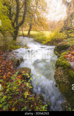 Vue d'une rivière précipitée en cascade sur des rochers couverts de mousse sous des arbres avec des feuilles passant du vert à l'or, Cerknica, Cerknica, Slovénie. Banque D'Images