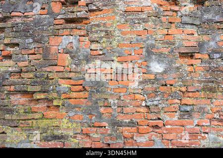 Gros plan d'un mur de briques altérées montrant de la mousse, du lichen et du mortier usé. Des textures riches et des tons chauds créent une toile de fond vieillie et rustique adaptée à Banque D'Images
