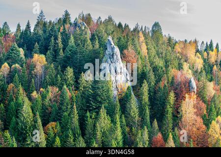 Un rocher au milieu de la forêt. Magnifique paysage de montagne avec forêt à feuilles persistantes et sommets enneigés par temps clair. Forêt et montagnes, rocher Banque D'Images