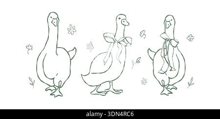 Un ensemble d'oies avec des arcs flirts et des fleurs dans le style de contour. Volaille vectorielle, éléments de conception isolés. Animaux de ferme drôles. Clip vert décoratif fantaisiste Collection vectorielle d'illustrations. Illustration de Vecteur