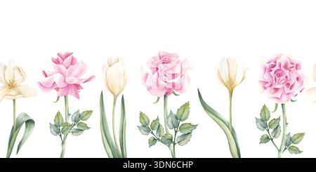 Bordure sans couture florale printanière. Aquarelle rose rose et fleur de tulipe blanche. Elégance dessinée à la main art botanique répété avec des feuilles isolées de Banque D'Images