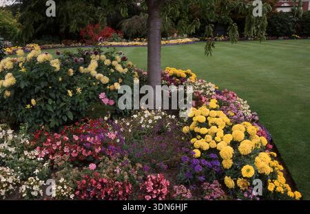 JARDIN SURÉLEVÉ CIRCULAIRE DE COURGETTES, BÉGONIAS ET DALIAS. AUSTRALIE. Banque D'Images