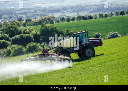 Tracteur pulvérisant de l'insecticide dans le champ. Activité agricole au printemps. Terres cultivées en campagne Banque D'Images