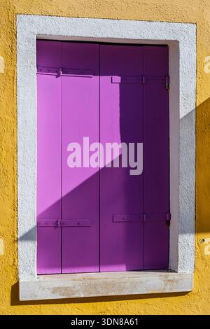 Volets violets vibrants sur une fenêtre dans un mur texturé jaune avec un jeu d'ombre. Burano, lagune vénitienne, Italie Banque D'Images