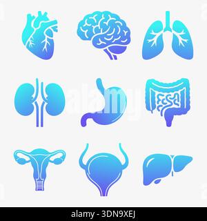 Icônes d'organe interne humain définies dans le style dégradé Illustration de Vecteur