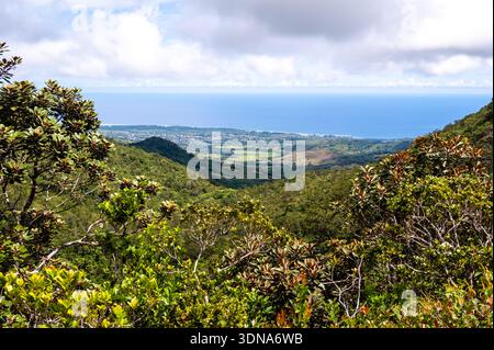 Vue panoramique surélevée depuis Alexandra Falls sur les forêts tropicales luxuriantes jusqu'à la côte sud de l'île Maurice Banque D'Images