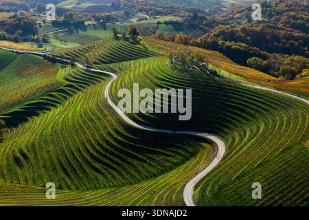 Vue aérienne de routes sinueuses traversant des vignobles en terrasses, créant un motif fascinant de lumière et d'ombre, Robadje, comté de Međimurje, Croati Banque D'Images
