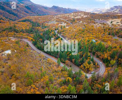 Un panorama aérien panoramique de feuillage forestier luxuriant couvrant les collines ondulantes de l'Oregon, avec une route pittoresque serpentant gracieusement à travers les terres d'automne Banque D'Images