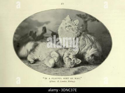 D'une manière ludique tirée du livre du chat par Simpson, Frances, Miss date de publication 1903 Éditeur Cassell et compagnie, limitée Banque D'Images