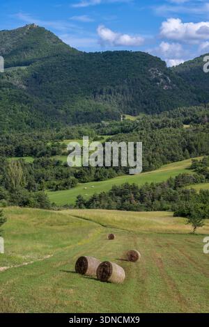 France, Drôme, parc naturel régional des Baronnies provencales, Laborel, meules de foin Banque D'Images