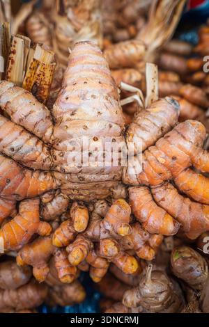 Laos, Savannakhet, le grand marché Savanxay, rhizome de curcuma Banque D'Images
