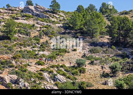 Groupe avec des randonneurs marchant sur une montée sur un sentier de montagne Banque D'Images