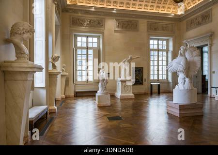 France, Côte d'Or, Dijon, région classée au patrimoine mondial par l'UNESCO, Musée des Beaux-Arts dans l'ancien palais des Ducs de Bourgogne Banque D'Images