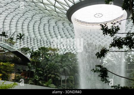 Singapour - 11 janvier 2026 : une grande cascade intérieure se déverse dans l'aéroport Jewel Changi. Les gens se promènent tout en profitant de la vue sur les plantes vertes Banque D'Images