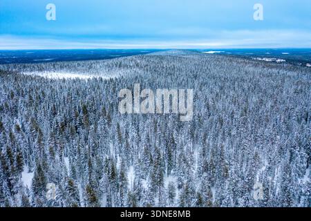 Scandinavie, Laponie, Finlande. Rovaniemi Banque D'Images
