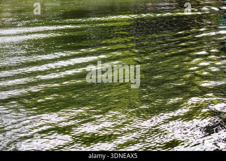 France, Paris, 75, 10ème arrondissement, sillage de bateau dans le canal Saint-Martin, juillet 2025. Banque D'Images