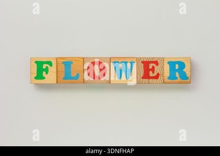 Fleur un arrangement amusant de cubes en bois Banque D'Images