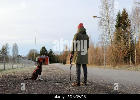 Route de campagne. Femme avec chapeau rose promenant le chien. Paysage rural à Ocbtober. Värmland, Suède. Banque D'Images
