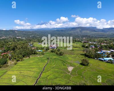 Vue en angle élevé de rizières avec vue sur le Mont Kinabalu à Ranau Sabah Malaisie île de Bornéo Banque D'Images