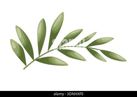 Un rameau d'olivier aux feuilles vertes allongées. Illustration vectorielle avec des dégradés de couleurs douces. Élément botanique pour logos, emballage, branding, invitati Illustration de Vecteur