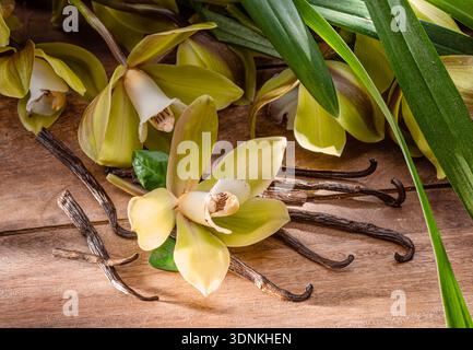 Fleurs d'orchidée jaune de papillon, feuilles vertes et bâtons de vanille sur une table en bois. Banque D'Images