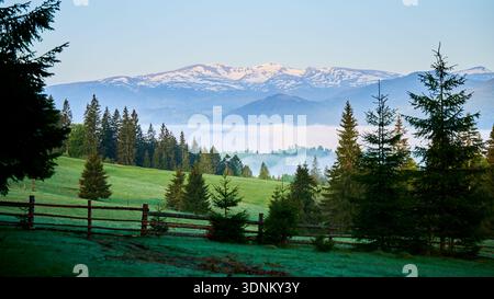 Paysage serein présentant une prairie verdoyante, encadrée par de grands arbres à feuilles persistantes et une clôture en bois au premier plan. La brume dérive à travers la scène, avec des montagnes enneigées majestueusement en arrière-plan. Banque D'Images