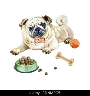 Carlin allongé à côté d'un bol de nourriture et d'une boule rouge. Illustration d'aquarelle dessinée à la main. Clip art vectoriel pour cartes postales, étiquettes de nourriture pour chiens et jouets. Adapté Illustration de Vecteur