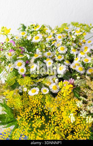 Des fleurs sauvages lumineuses de différentes couleurs remplissent la scène, mettant en valeur les fleurs printanières dans un affichage animé. Le mélange de pétales jaunes, violets et blancs crée une atmosphère joyeuse Banque D'Images
