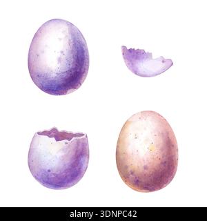 Un ensemble d'œufs peints colorés sur un fond isolé. Illustration aquarelle d'œufs entiers et cassés. Oeufs roses et violets de Pâques pour décorer le Banque D'Images