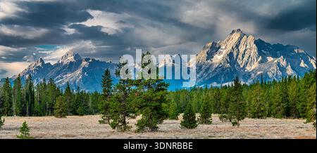 Image panoramique des grands Tetons du Wyoming. Banque D'Images
