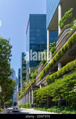 Bâtiments verts pour un meilleur climat dans la ville, Singapour Banque D'Images
