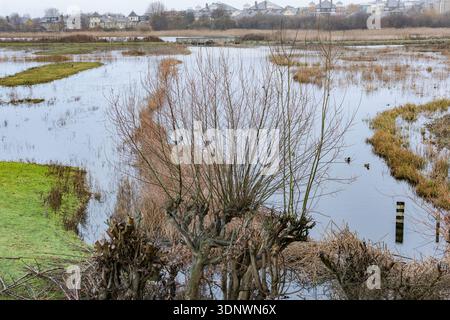 Vue sur les zones humides depuis la plate-forme d'observation de la faune Peacock Tower, London Wetland Centre, Londres Royaume-Uni. Banque D'Images
