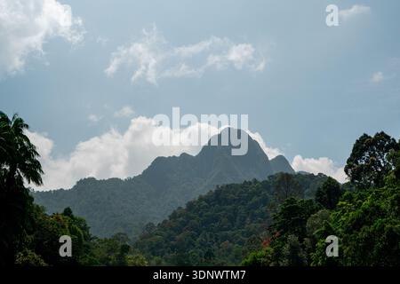 Une vue sur les montagnes boisées de Langkawi s’élève sous un ciel lumineux, avec des couches de végétation tropicale luxuriante au premier plan. Banque D'Images