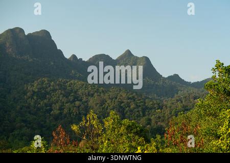 Une vue dégagée de la spectaculaire crête montagneuse de Langkawi qui s’élève au-dessus de la forêt tropicale dense. Banque D'Images