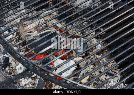 Une variété de viandes et de légumes sont cuits sur un gril Banque D'Images