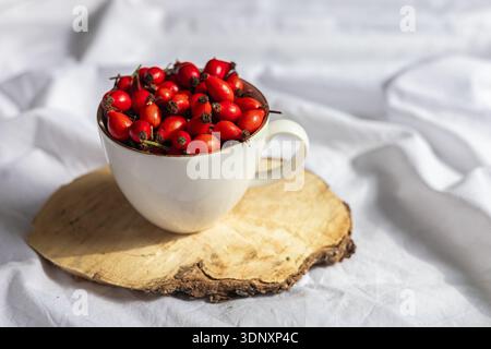 Une tasse en céramique blanche remplie de hanches roses rouges éclatantes repose élégamment sur une tranche de bois rustique contre un tissu blanc doux. L'image capture un natura Banque D'Images
