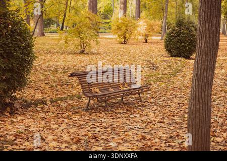 Une scène de parc sereine en automne, avec un banc en bois entouré d'une couverture de feuilles sèches. Le feuillage coloré et le cadre tranquille évoquent la paix Banque D'Images