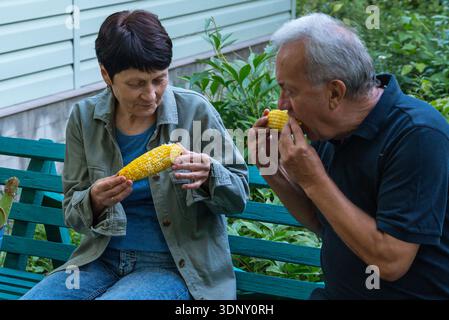 Un couple d'âge moyen est assis sur un banc dans un jardin luxuriant, savourant du maïs fraîchement récolté. Leurs expressions reflètent la joie et le contentement avec ce simple Banque D'Images