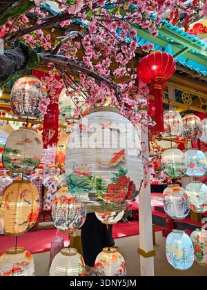 Lanternes chinoises traditionnelles avec motifs floraux et poissons suspendues sous des fleurs de cerisier roses lors d'une exposition festive en Malaisie pendant le nouvel an lunaire. Banque D'Images