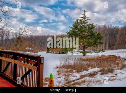 Une journée d'hiver enneigée dans un parc Banque D'Images