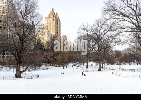 Central Park en hiver, couvert de neige, Manhattan, New York Banque D'Images