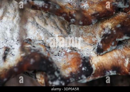Gros plan de champignons de support poussant dans des étagères étagées sur de l'écorce d'arbre grise profondément texturée. Les champignons présentent des tons orange, brun et noir. Banque D'Images