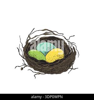 Nid d'oiseau avec des œufs. Illustration vectorielle dessinée à la main de Pâques, conception de modèle Illustration de Vecteur