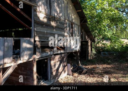 Une grange en bois se dresse dans une zone rurale avec des parties montrant des dommages. La lumière du soleil filtre à travers les arbres, et l'herbe haute entoure la structure. La scène Banque D'Images
