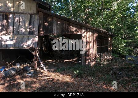 Un bâtiment en bois se dresse dans une zone boisée avec des débris dispersés autour. La structure semble vieille et usée, montrant des signes de négligence. Filtres solaires Banque D'Images