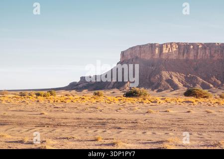 Vue panoramique sur le plateau de Jbel Bani s'élevant au-dessus de la plaine désertique aride dans le sud du Maroc, capturée en plein jour, mettant en évidence la géologie accidentée Banque D'Images