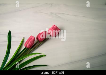 Pose plate horizontale avec trois tulipes roses dans le coin sur fond de marbre blanc, bannière florale printanière minimaliste avec espace de copie. Banque D'Images