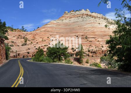 Une route sinueuse serpente à travers un paysage de roches orangées et d'arbres, parc national de Zion, Utah, États-Unis Banque D'Images