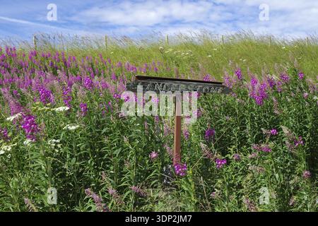 Prairie fleurie avec fleurs roses et signe en bois sur une journée d'été ensoleillée, Aberdeenshire, Écosse, Royaume-Uni Banque D'Images
