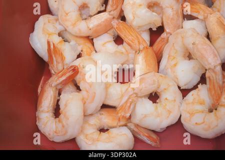 Les crevettes sont assis sur une assiette rouge prête à servir pendant un repas Banque D'Images